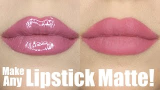 How to Make ANY Lipstick MATTE Cheap  Easy  STEPHANIE LANGE [upl. by Darnall]