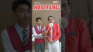 What is the meaning of RED FLAG [upl. by Astiram682]