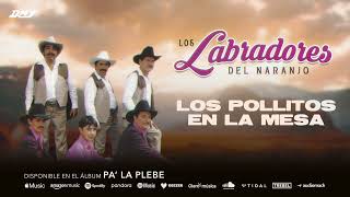 Los Labradores Del Naranjo  Los Pollitos En La Mesa Audio Oficial [upl. by Gavrielle]