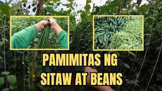 PAMIMITAS NG STIAW AT BEANS [upl. by Nathanson]