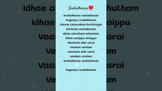 Snehidhanae Snehidhanae Song Lyrics  Snehidhanae Snehidhanae Video Song  A R Rahman Tamil Hit Song [upl. by Ibrek]