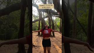 Exploring Aurovilleaurovilletravelpuducherryaurovillefrenchcolonsouthindiantamilviralvideo [upl. by Agretha]