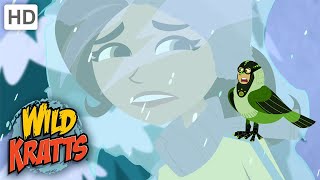 Wild Kratts  TRAPPED In An Ice Storm  Weather [upl. by Mcloughlin]