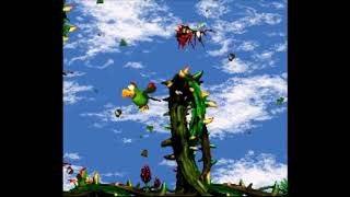 Donkey Kong Country 2 Stickerbush Symphony with Gameplay [upl. by Dressel]