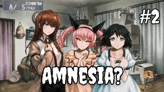 Amnesia  SteinsGate My Darlings Walkthrough Part 2 [upl. by Blayze303]