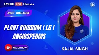 Plant Kingdom I L6 I Angiosperms  Biology  Kajal Singh [upl. by Smoot265]