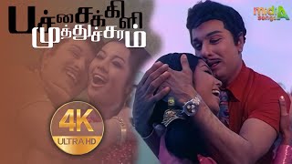 பச்சைக்கிளி முத்துச்சரம் Pachaikili Muthucharam Song4K HD Video mgrsongs tamiloldsongs [upl. by Sivrep80]