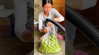 Handheld vacuum compression packaging process for the fruit preservation [upl. by Ttennaj]