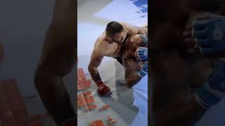 Fighter ATTACKS Referee After Late Stoppage [upl. by Nylehtak]