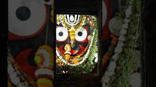 Sri jagannath sahasranama jagannath bhajan shorts [upl. by Aytida]