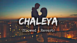 Chaleya  Slowed  Reverb  Arjit Shingh amp Shilpa Rao  Jawaan  SRK [upl. by Sorkin908]