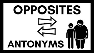 Antonyms Opposites Examples  English Lesson for Kids [upl. by Llyrehc]