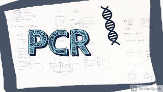 PCR  POLYMERASE CHAIN REACTION  PRACTICAL HINTS [upl. by Terencio10]