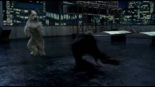 Karate Dog klip 5  Karate Dog vs Jon Voight [upl. by Devonne346]