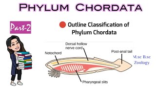 Part2 Outline Classification of ChordatesMsc Bsc Zoology NEET 12th Class PCB AIIMSEasiest way [upl. by Boothman]