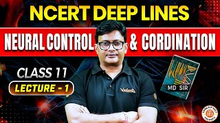 NEURAL CONTROL AND COORDINATION CLASS 11  NCERT DEEP LINES  NCERT FOR NEET 2025 ZOOLOGY BY MD SIR [upl. by Zumwalt]