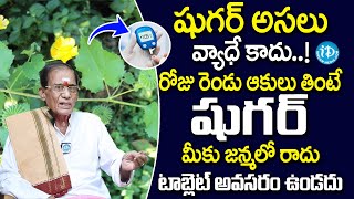 Diabetes  నేను చెప్పినట్టు చేస్తే చాలు వెంటనే తేడా తెలుస్తుంది మీకు  iDream Health Talks [upl. by Adamina]