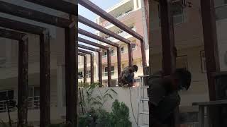 finally pergola completed work shorts ytshorts viral kadirtechnical [upl. by Mozart897]