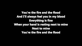 Vance Joy  Fire and the Flood Lyric [upl. by Knick]