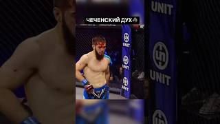 Top 5 Knockouts mma ufc fighting mmafighter knockout mmanews boxing fightsport fast punch [upl. by Netaf288]