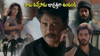 వాడు వచ్చేసాడు జాగ్రత్తగా ఉండండి  Nagarjuna  Saiyami Kher  Ali  StarCinemaTelugu [upl. by Jemy]