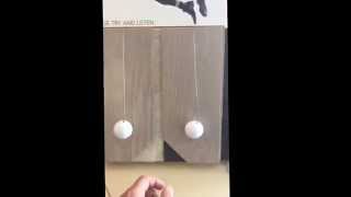 How to reduce the hollow sound of laminate wooden flooring [upl. by Haeluj]