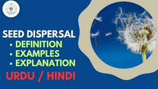 What is SEED DISPERSAL URDU  HINDI [upl. by Lainey371]