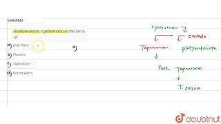 Bladderworm cysticercus is the larva of [upl. by Abagael]