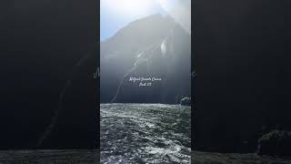 Milford Sounds Cruise  part 23 aesthetic travelling newzealand holiday sub 🤍🤍🤍 [upl. by Aleydis]