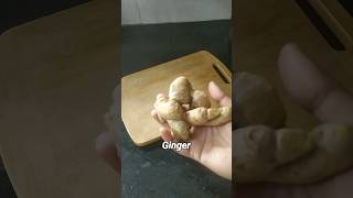 video 246  ginger garlic paste that lasts for months  ginger garlic paste  youtubeshorts shorts [upl. by Poirer]