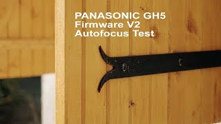 Panasonic GH5  firmware V2  Autofocus  Olympus 1240 f28 [upl. by Green]