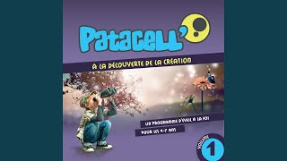 Pata patacell [upl. by Tnilk]