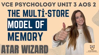 VCE Psychology Unit 3 AOS 2 The Multistore Model of Memory AtkinsonShiffrin [upl. by Lancaster]