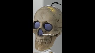 Large amp LifeLike Skeleton Halloween Decor 💀🎃  LifeStyled  QVC HSN [upl. by Allare]