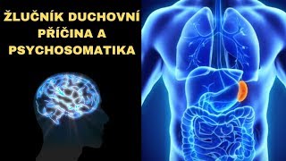 Žlučník  duchovní příčina a psychosomatika duchovní příčiny nemocí [upl. by Eittik]