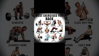 Best exercise for back bodymaker likeforlikes shortsviral subscribe [upl. by Sverre]