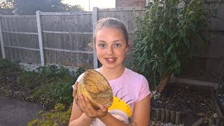 Wood Turning Club  Spalted Silver Birch and Washing Up Liquid [upl. by Abbotson234]