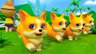 Where Are My Dog Song  Music for Children  Kindergarten Nursery Rhymes amp Kids Songs Compilation [upl. by Jos426]