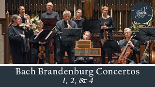 Bach Brandenburg Concertos 1 2 amp 4  Victoria Bach Festival 2023 [upl. by Anauqed]