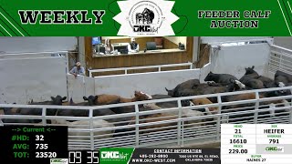 1162024  OKC West Feeder Calf Auction [upl. by Cecilius]