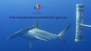 The new Australian Marine Parks Science Atlas [upl. by Kcirddot637]