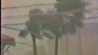 National TV Stormstory of Hurricane Elena Intercept 1985 [upl. by Edlyn]