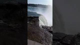 Niagara falls death [upl. by Oakes]