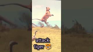 tiger attack funny reels animals tiger wwe [upl. by Loos336]