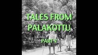 Talks on Sri Ramana Maharshi Narrated by David Godman  Tales From Palakottu Part V [upl. by Nanah]