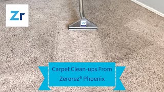 Best Carpet Clean Ups from Zerorez® Phoenix [upl. by Padget]