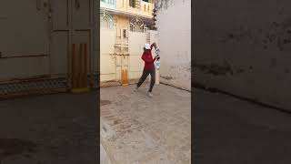 New cricket bat testing video cricket bat like subscribe [upl. by Sherris471]