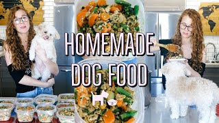 HOMEMADE  HEALTHY DOG FOOD RECIPE  COOKING FOR YOUR DOG🐶 [upl. by Aicittel]