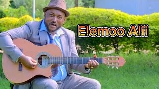 Elemoo Alii quotNew Albemquot Video Music 2024 [upl. by Lennon]