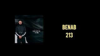 Benab  213 Audio Officiel [upl. by Anaib]